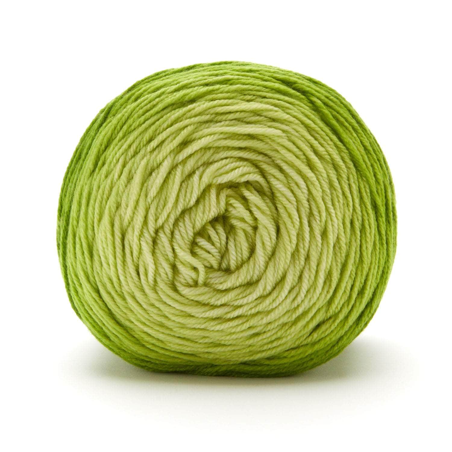 Anti-Pilling Everyday® Worsted Gradient - Image 7