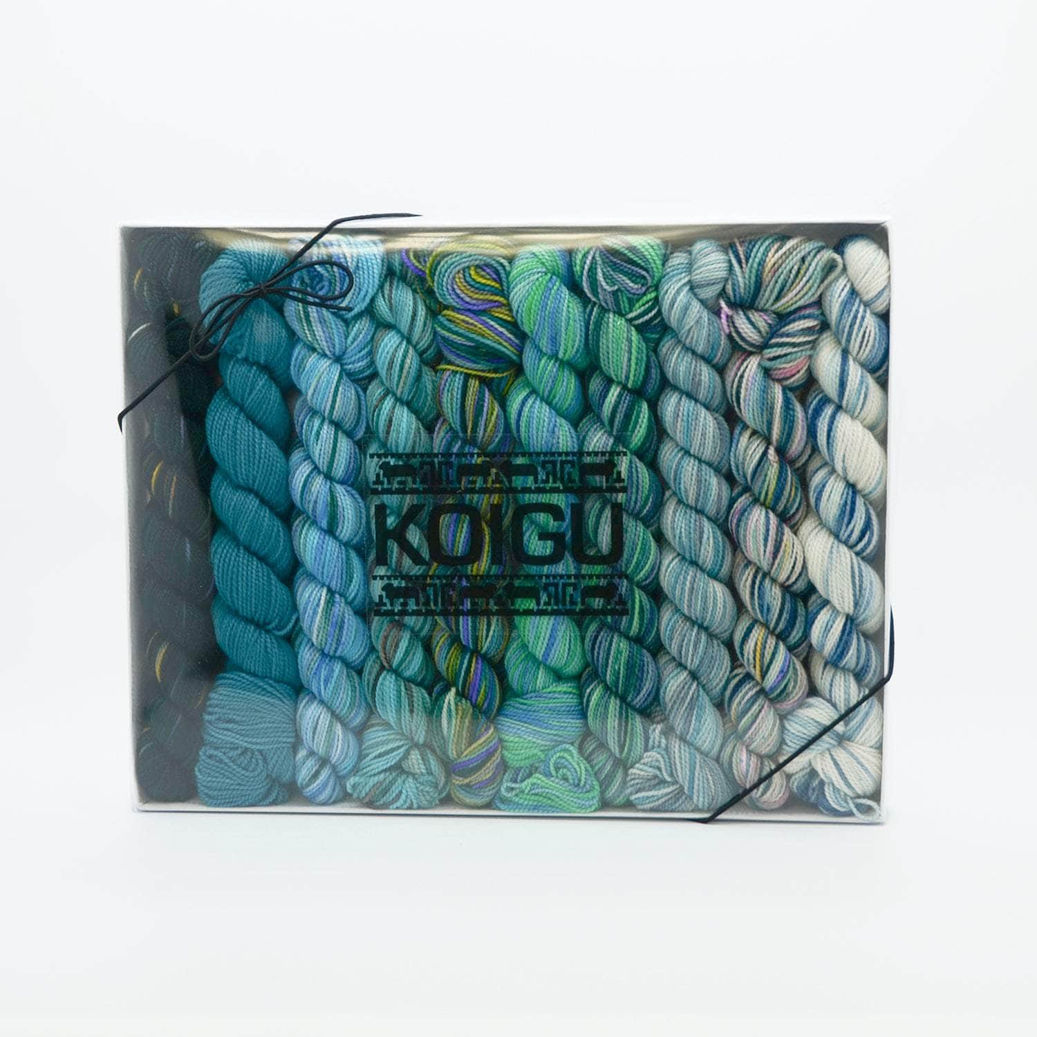 Koigu Pencil Box - Image 5