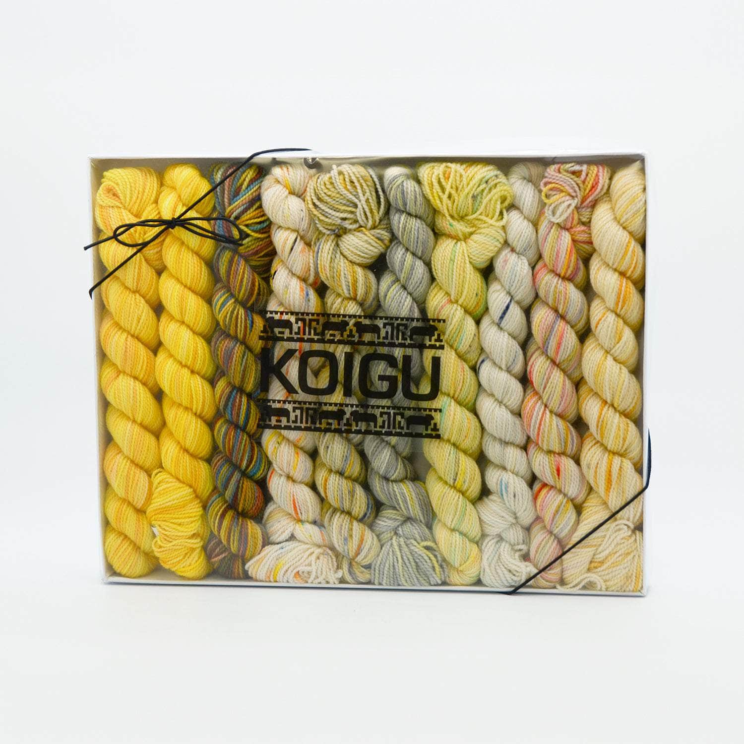 Koigu Pencil Box